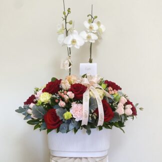 Orchid / Orquidea y rosas